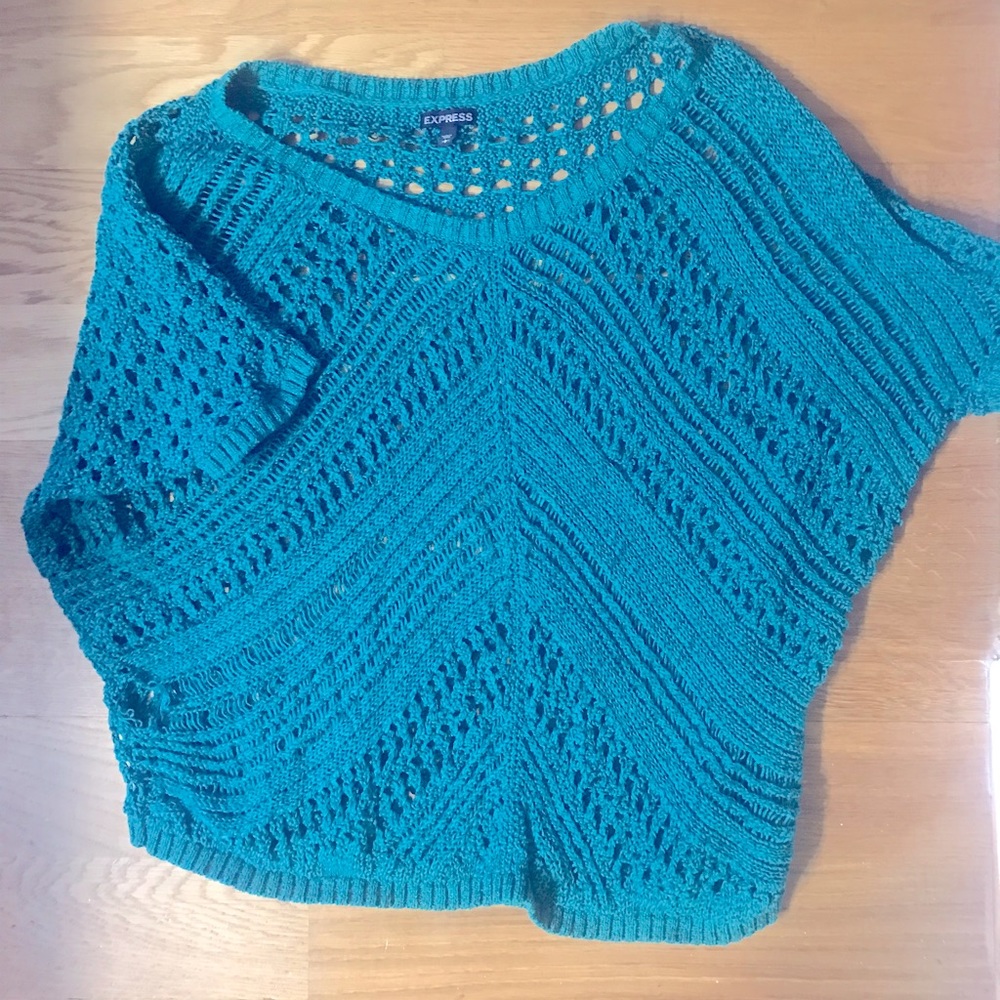 Express sweater size large